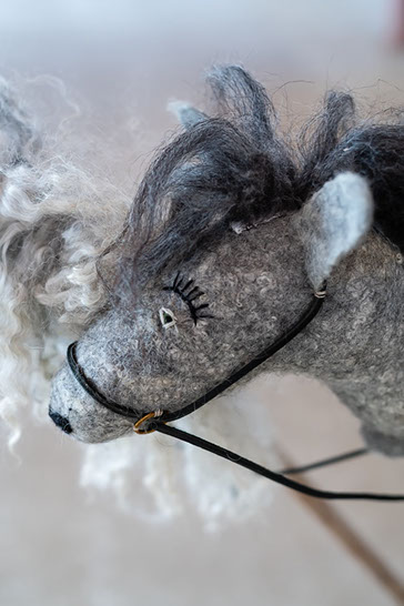 Fotograf Torbjörn Helgesson