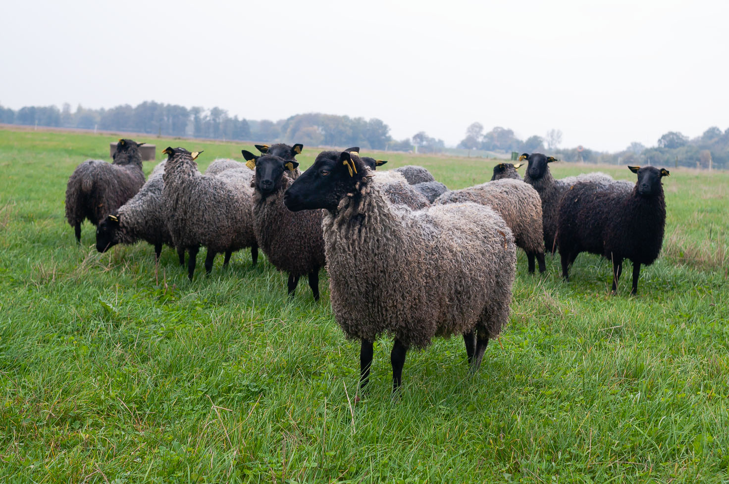 Fotograf Torbjörn Helgesson