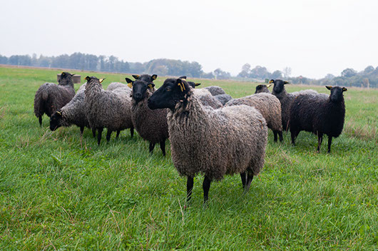 Fotograf Torbjörn Helgesson