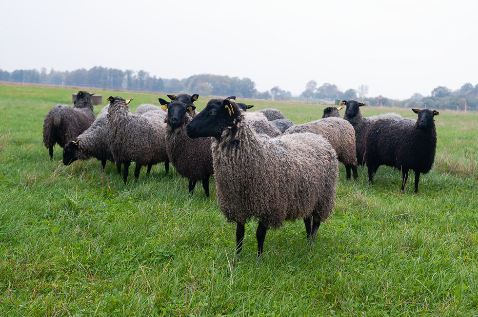 Fotograf Torbjörn Helgesson