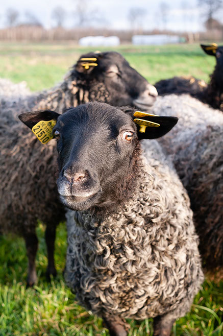Fotograf Torbjörn Helgesson