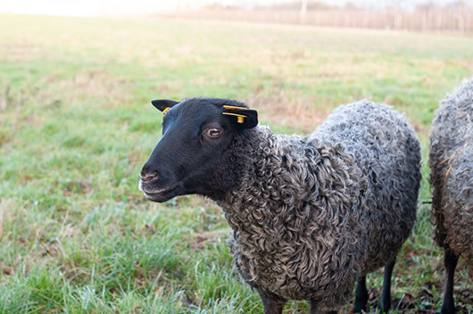 Fotograf Torbjörn Helgesson