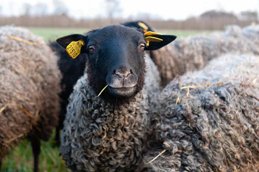Fotograf Torbjörn Helgesson