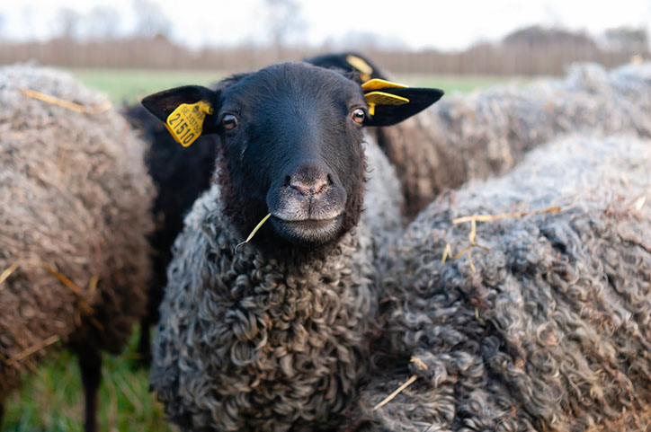 Fotograf Torbjörn Helgesson