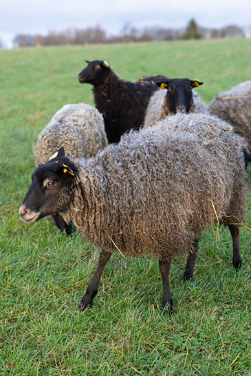 Fotograf Torbjörn Helgesson