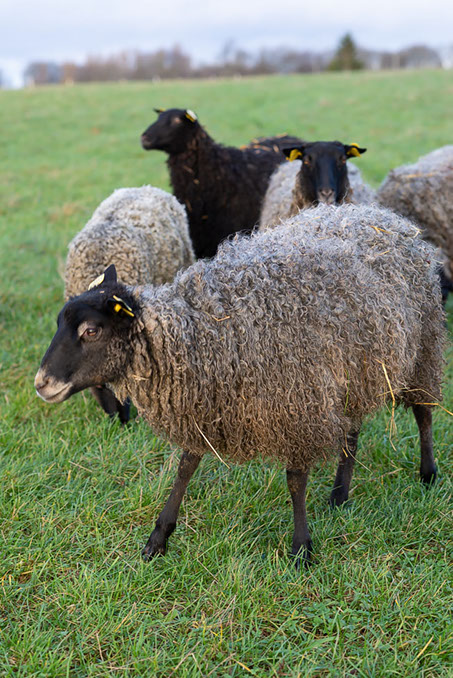 Fotograf Torbjörn Helgesson