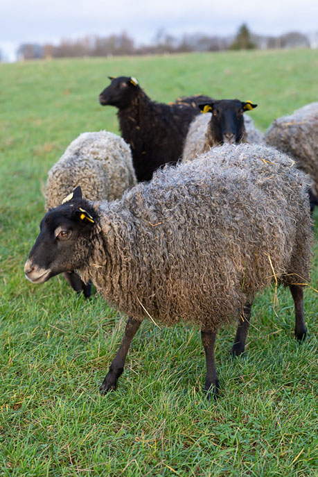 Fotograf Torbjörn Helgesson