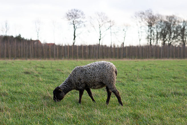 Fotograf Torbjörn Helgesson