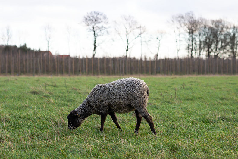 Fotograf Torbjörn Helgesson