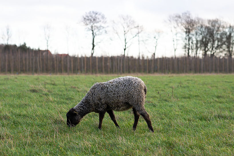 Fotograf Torbjörn Helgesson