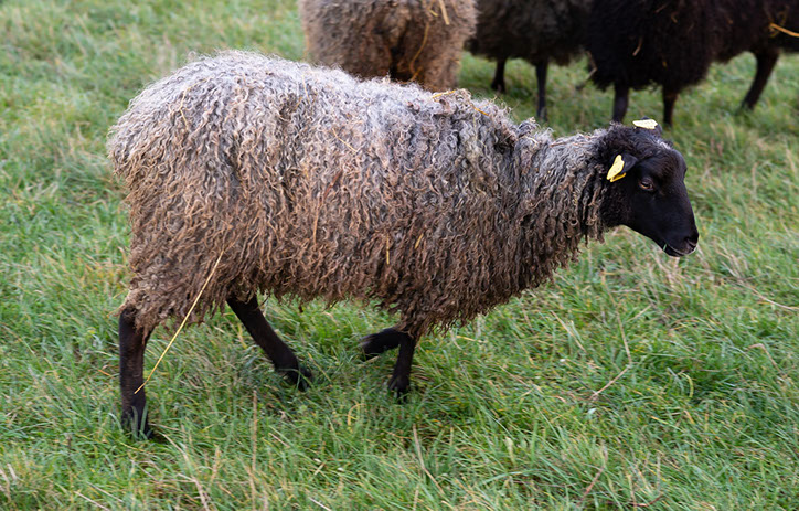 Fotograf Torbjörn Helgesson