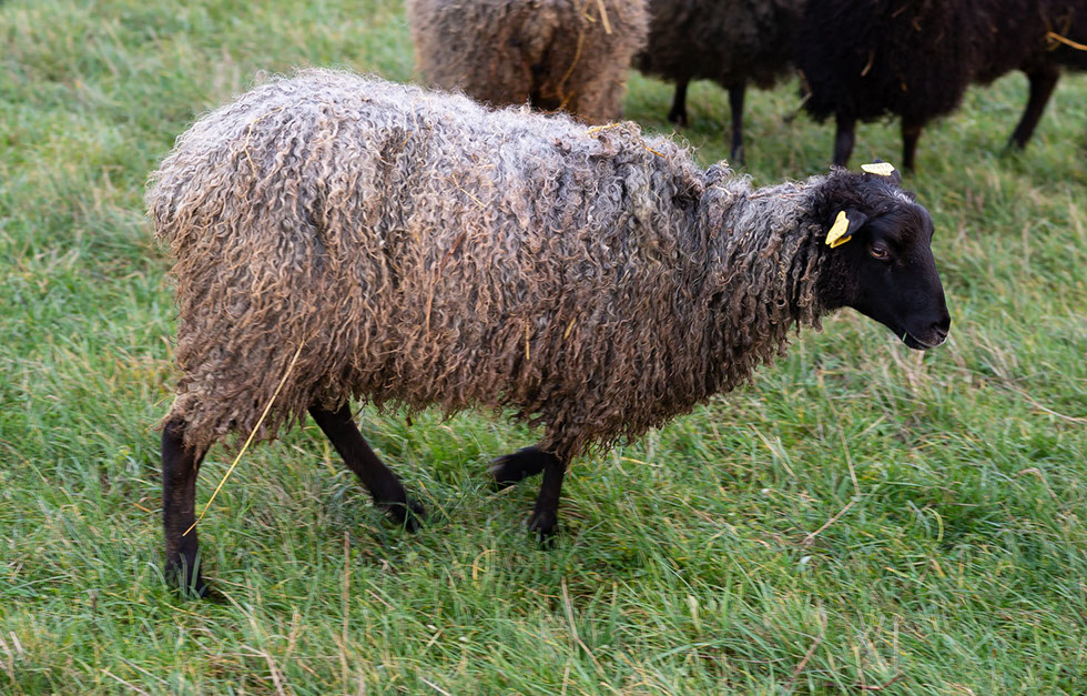 Fotograf Torbjörn Helgesson