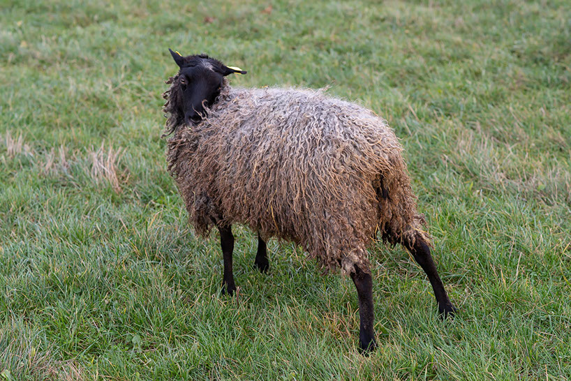 Fotograf Torbjörn Helgesson