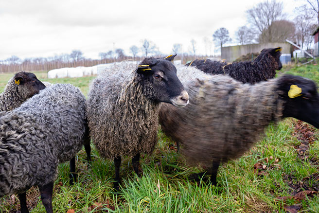 Fotograf Torbjörn Helgesson
