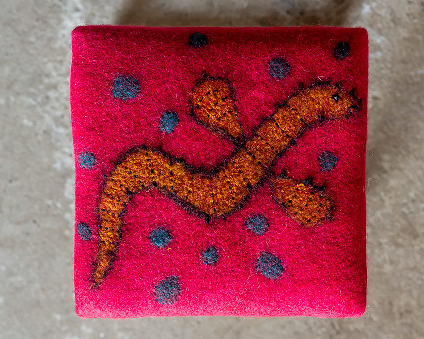 Fotograf Torbjörn Helgesson