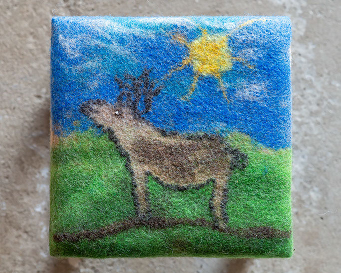 Fotograf Torbjörn Helgesson